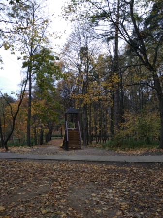 336x448  101 KB. Big one: 3456x4608  7688 KB