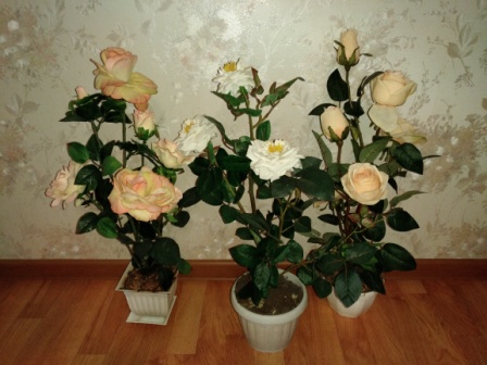 448x336  70 KB. Big one: 4608x3456  4146 KB