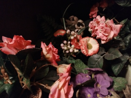 448x336  62 KB. Big one: 4608x3456  3661 KB