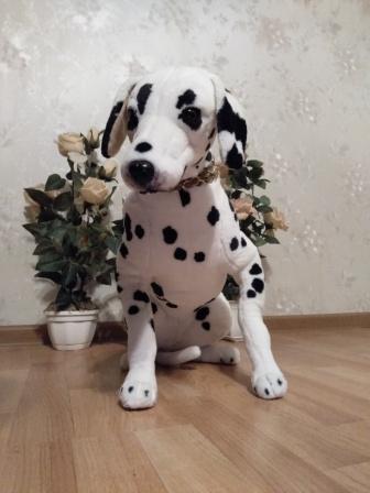 336x448  27 KB. Big one: 2448x3264  1956 KB