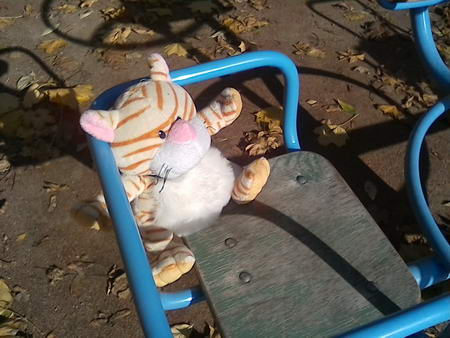 450x338  48 KB. Big one: 1600x1200  490 KB