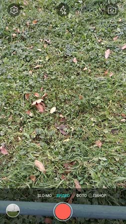 253x450  48 KB. Big one: 844x1500  443 KB