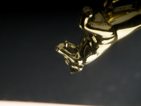 450x338  49 KB. Big one: 1500x1126  499 KB