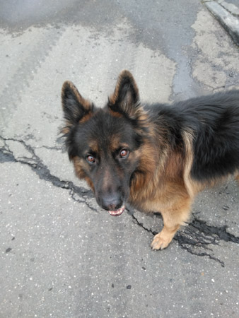 338x450  52 KB. Big one: 3456x4608  4040 KB