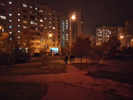 450x338  55 KB. Big one: 4608x3456  3470 KB