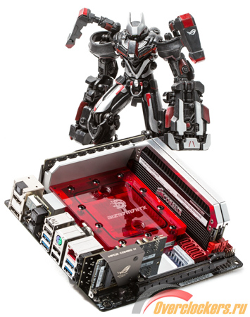 355x450  141 KB. Big one: 1182x1500  392 KB