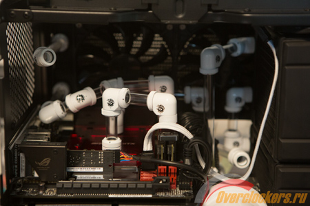 450x300  113 KB. Big one: 1500x1000  254 KB