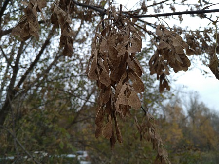 450x337  73 KB. Big one: 5312x3984  5820 KB