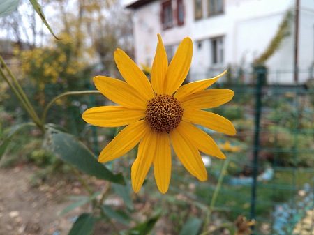 450x337  50 KB. Big one: 5312x3984  5338 KB