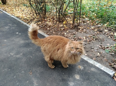 450x337  90 KB. Big one: 5312x3984  7870 KB