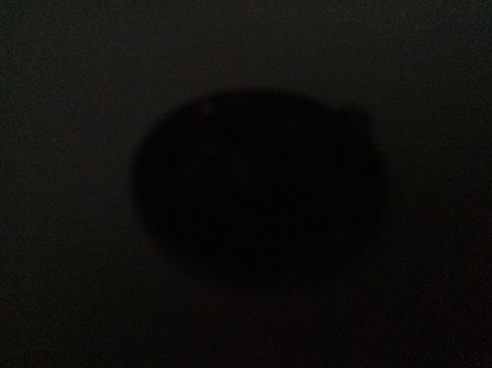 450x337  25 KB. Big one: 5312x3984  3447 KB