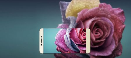 450x200  16 KB. Big one: 2400x800  205 KB