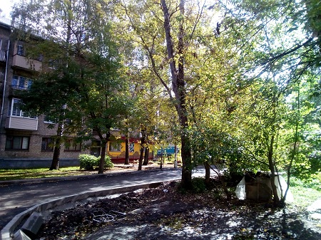 450x337  110 KB. Big one: 4160x3120  6510 KB