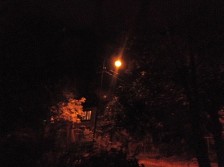 450x337  27 KB. Big one: 4160x3120  1322 KB