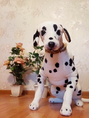 338x450  50 KB. Big one: 1920x2560  905 KB