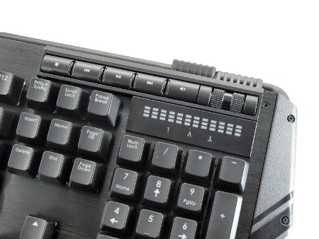 450x338  49 KB. Big one: 1500x1125  464 KB