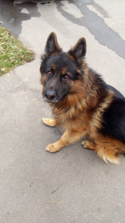 253x450  48 KB. Big one: 1872x3328  2202 KB