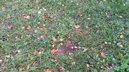 450x253  55 KB. Big one: 3328x1872  4361 KB