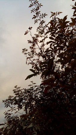 253x450  49 KB. Big one: 1872x3328  1945 KB