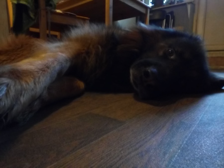 450x338  42 KB. Big one: 3264x2448  1346 KB