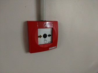 337x253  19 KB. Big one: 4160x3120  4719 KB