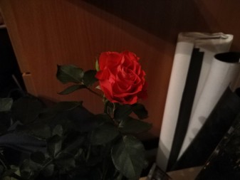 337x253  27 KB. Big one: 4160x3120  3819 KB