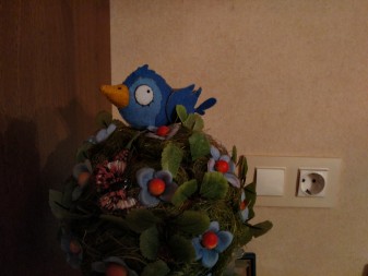 337x253  31 KB. Big one: 4160x3120  5007 KB