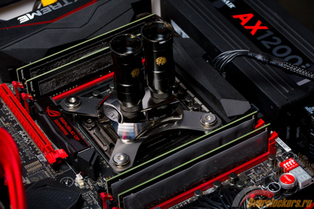 450x300  125 KB. Big one: 1500x1000  391 KB