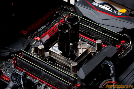 450x300  115 KB. Big one: 1500x1000  351 KB