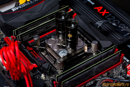 450x300  127 KB. Big one: 1500x1000  369 KB