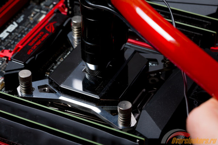 450x300  100 KB. Big one: 1500x1000  248 KB