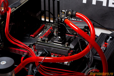 450x300  120 KB. Big one: 1500x1000  339 KB