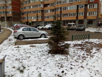 337x253 187 KB. Big one: 4160x3120 4407 KB 337x253 187 KB. Big one: 4160x3120 4407 KB