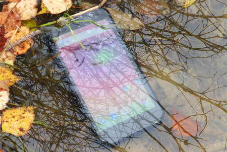 450x302  62 KB. Big one: 900x675  334 KB