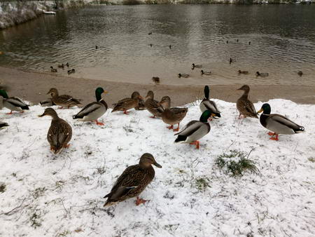 450x338  51 KB. Big one: 4160x3120  5394 KB