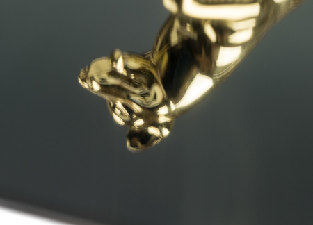 450x324  43 KB. Big one: 1500x1078  300 KB