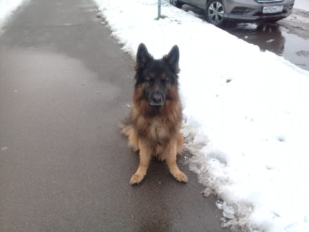 450x338  60 KB. Big one: 3264x2448  1614 KB