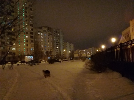 450x338  53 KB. Big one: 3264x2448  2304 KB