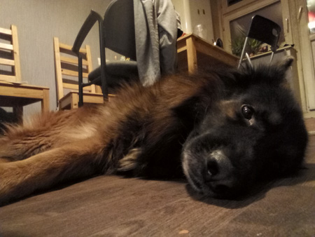 450x338  57 KB. Big one: 2576x1932  1740 KB