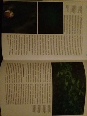 300x399  21 KB. Big one: 2448x3264  2185 KB