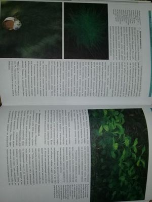 300x399  23 KB. Big one: 2448x3264  2510 KB