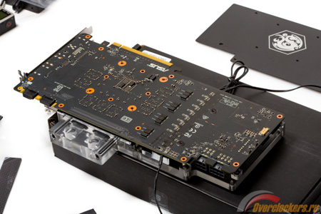 450x300  92 KB. Big one: 1500x1000  310 KB