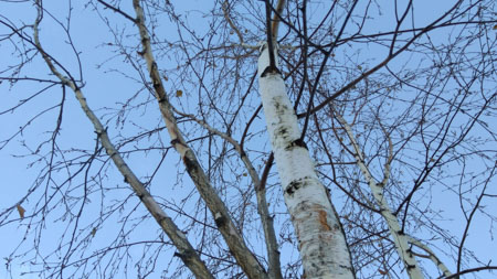 450x253  57 KB. Big one: 4608x2592  5255 KB