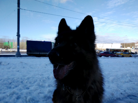 450x338  49 KB. Big one: 2592x1944  1202 KB