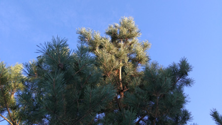 450x253  52 KB. Big one: 4608x2592  4853 KB