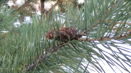 450x253  59 KB. Big one: 4608x2592  3500 KB