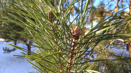 450x253  58 KB. Big one: 4608x2592  4746 KB