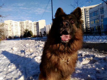 450x338  49 KB. Big one: 2592x1944  1789 KB