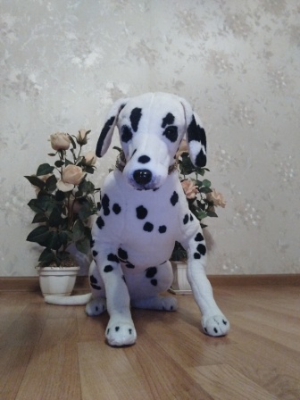 336x448  57 KB. Big one: 2448x3264  1742 KB