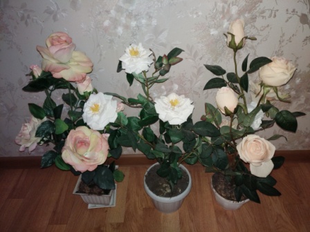 448x336  66 KB. Big one: 4608x3456  4943 KB